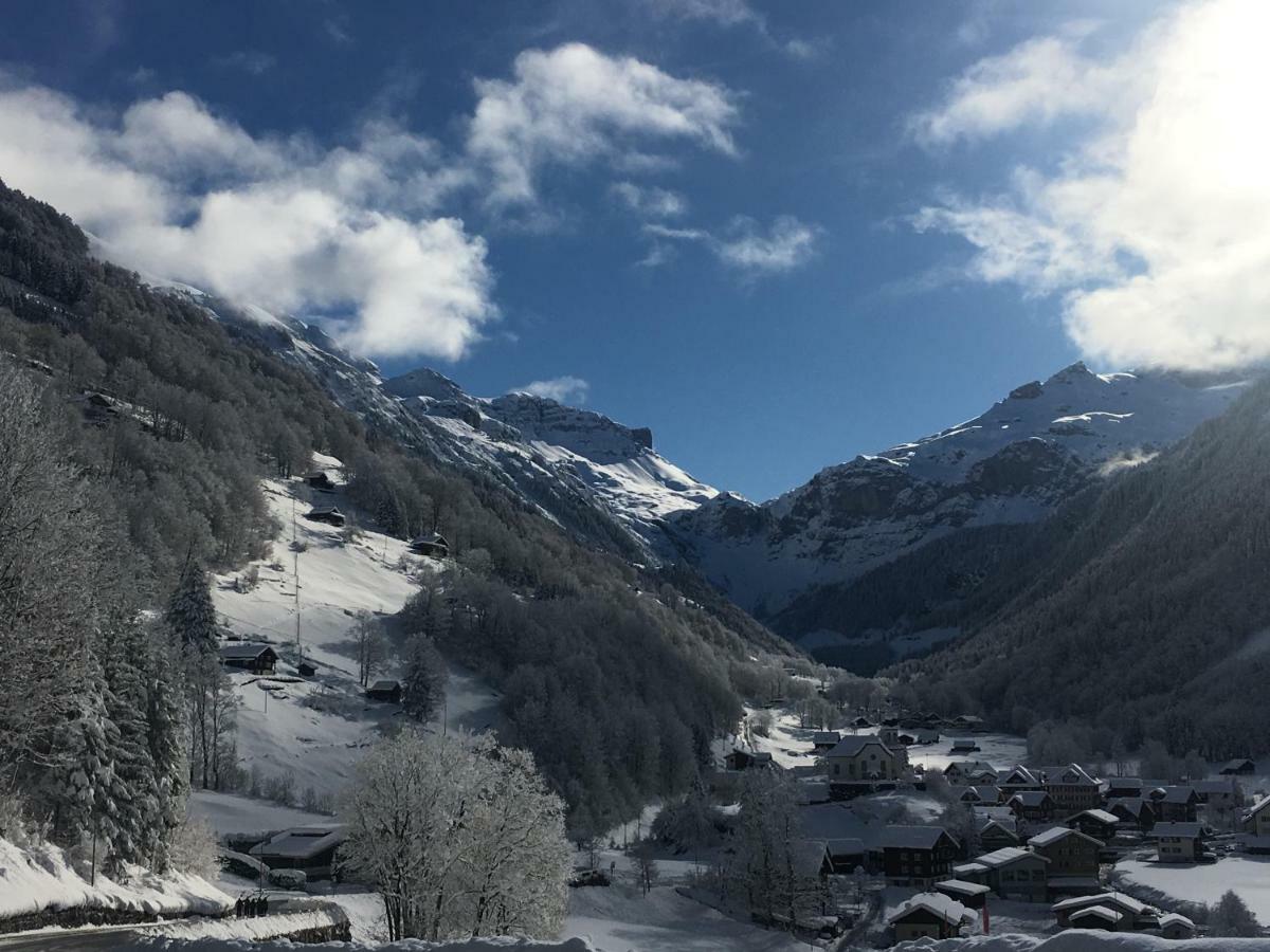 Hotel Alpina Unterschachen Экстерьер фото