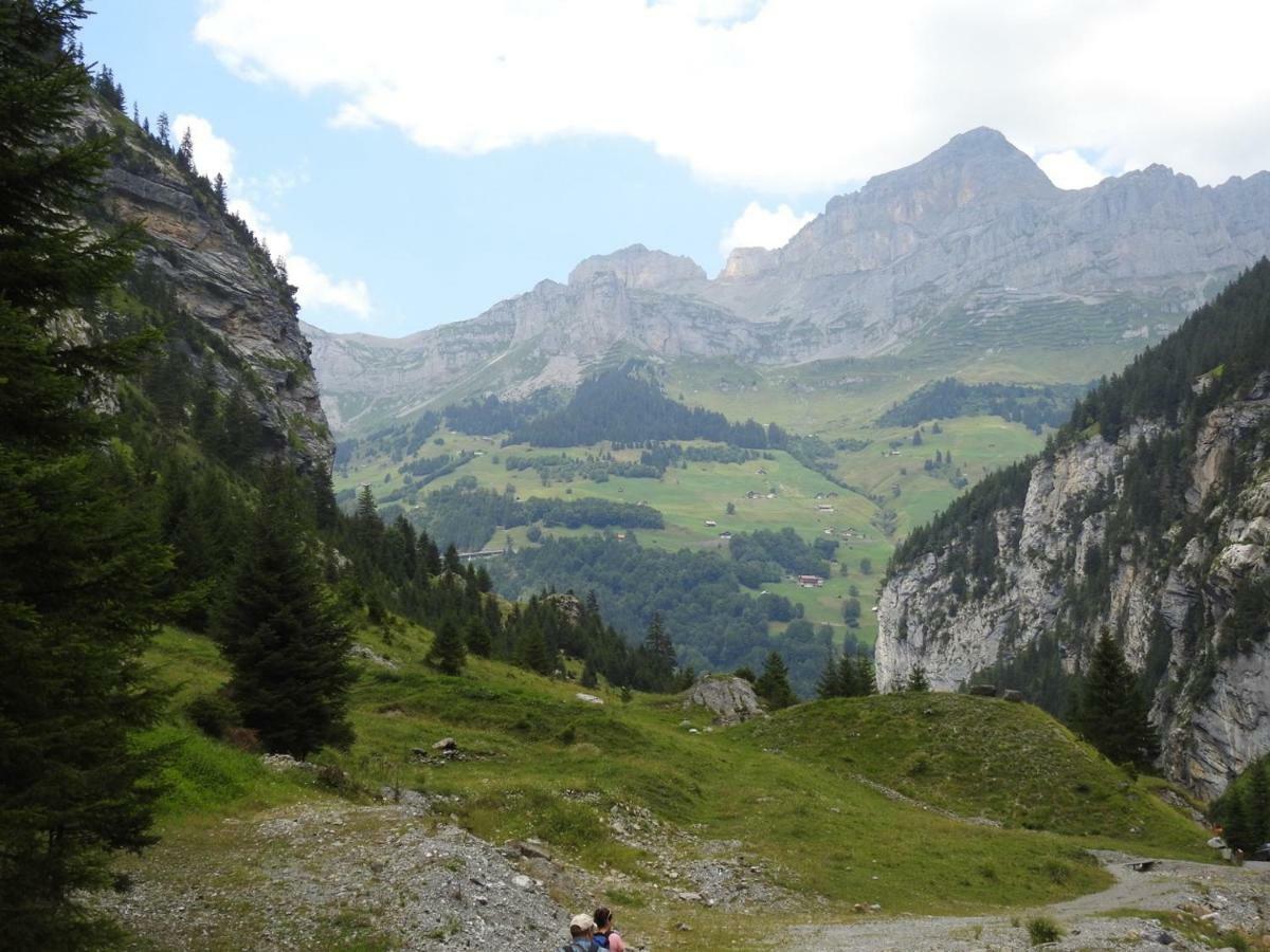 Hotel Alpina Unterschachen Экстерьер фото